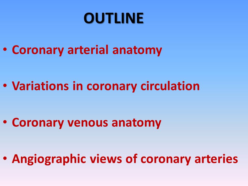 Why is coronary circulation important?